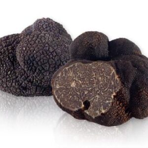 Perigord Black Winter Truffle