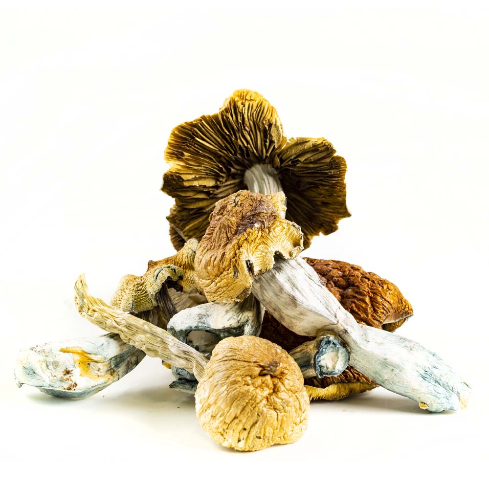 Hawaiian Magic Mushrooms For Sale- Gypsy Lanes